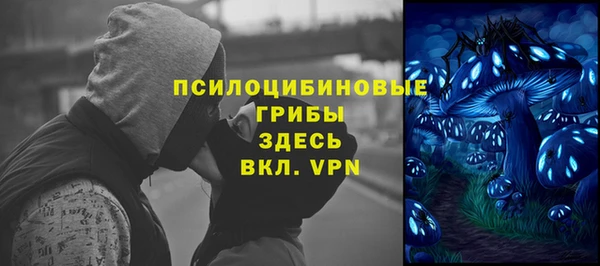 шишки Абинск