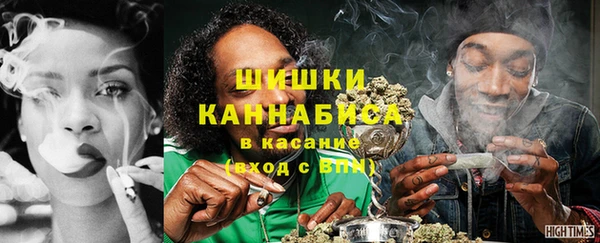 бошки Алексин