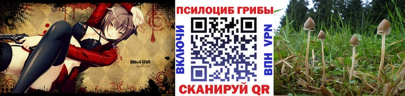 даркнет формула  где можно купить наркотик  Щёлково  Псилоцибиновые грибы Psilocybe 